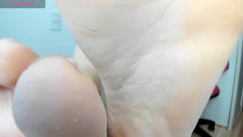 Snapshot of latin__curly chatting on December 12, 2024, 6:31 pm Afrodita online show from December 12, 2024, 6:31 pm