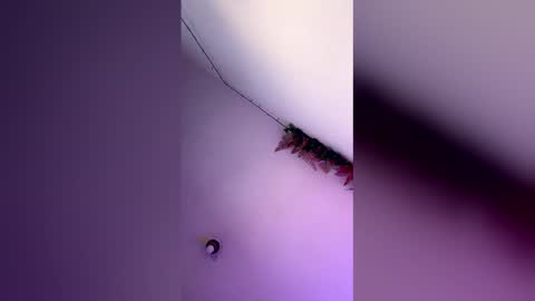 Snapshot of latin_bigcock21cm chatting on March 4, 2026, 7:58 am latin_bigcock21cm online show from March 4, 2026, 7:58 am