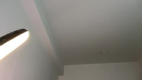 Hi -  online show from February 11, 2025, 4:46 pm