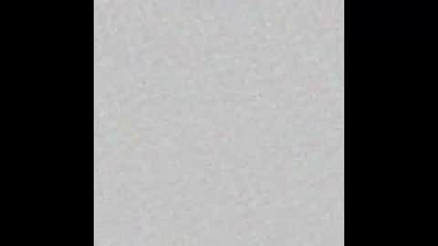 NICK online show from December 14, 2024, 3:51 am