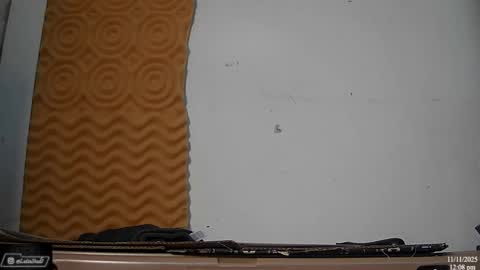 Nico online show from November 11, 2025, 6:08 pm