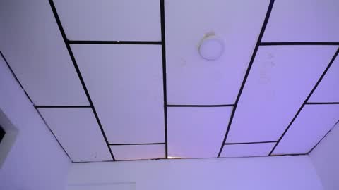 LAURA online show from December 2, 2024, 1:46 pm