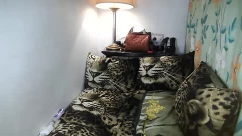 Snapshot of laureen_gavh chatting on February 8, 2025, 10:08 pm Belle online show from February 8, 2025, 10:08 pm