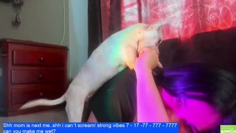 onlyfan laureng7 - 7 laureng2 online show from February 11, 2025, 2:57 pm