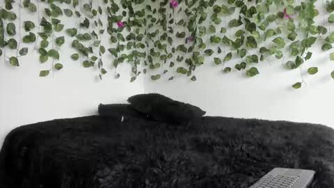 laurensmith9 online show from March 27, 2026, 2:17 pm