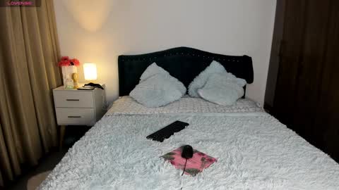 Snapshot of laurent_jones chatting on January 28, 2025, 11:06 am daniela angel online show from January 28, 2025, 11:06 am