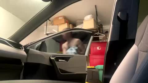 law_cambio online show from March 1, 2025, 8:31 pm