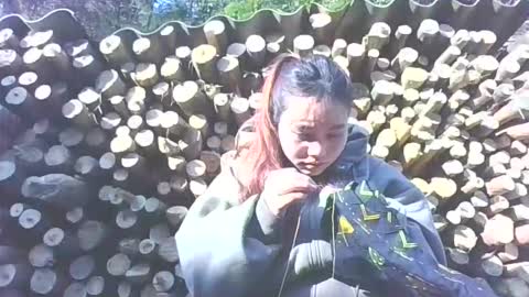 Snapshot of layla_999 chatting on January 12, 2026, 2:06 am layla_999 online show from January 12, 2026, 2:06 am