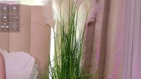 Your sweet girl-next-door online show from January 31, 2026, 7:11 pm