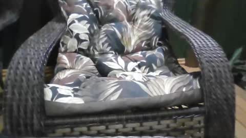 kelly online show from December 21, 2025, 1:13 am