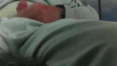 leckfreund53 online show from October 3, 2025, 7:38 am