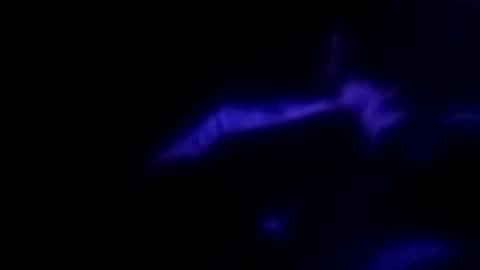 Michael online show from September 30, 2025, 9:14 am