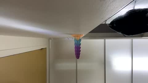 LeGrandAnneau online show from January 29, 2025, 3:44 am