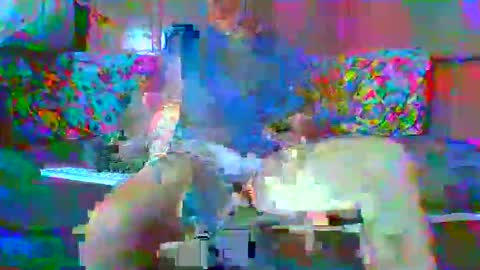 SEX  MASTER online show from January 15, 2026, 1:43 am