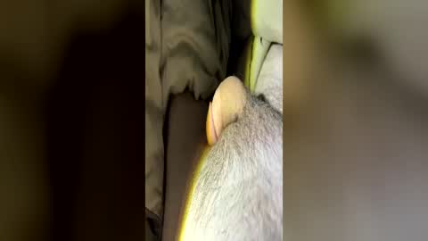 letsfucktn22 online show from June 29, 2026, 7:25 am