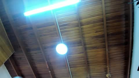 LevySteven online show from November 23, 2025, 3:28 am