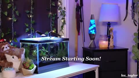 Lex online show from January 14, 2025, 4:15 am