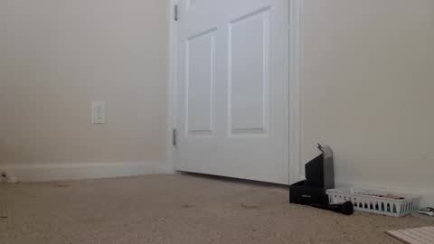 Alexia L. online show from February 6, 2026, 6:33 pm