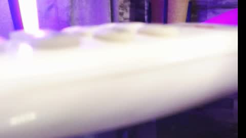 lexywetrain online show from October 19, 2025, 10:21 pm