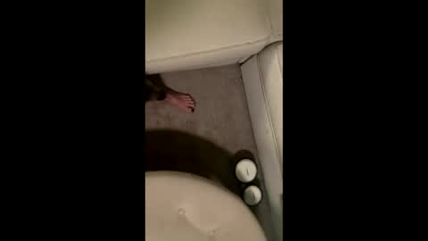 liamleggings online show from December 1, 2025, 2:38 am