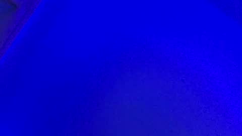 LickYourYoni online show from January 31, 2025, 1:34 pm