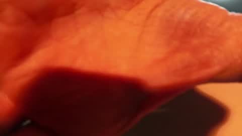 Snapshot of lightboy97 chatting on January 16, 2025, 2:19 am Lightworker online show from January 16, 2025, 2:19 am