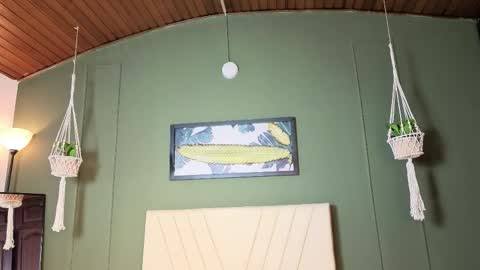 Lila online show from December 20, 2025, 8:43 am