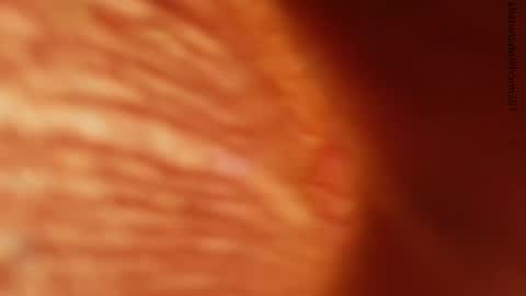 your love online show from November 24, 2025, 1:27 am