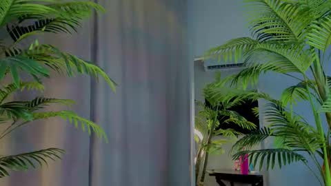 lililok101 online show from November 19, 2025, 2:22 am