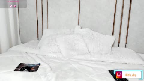 Snapshot of lilith_dry chatting on September 27, 2025, 2:11 pm lilith_dry online show from September 27, 2025, 2:11 pm