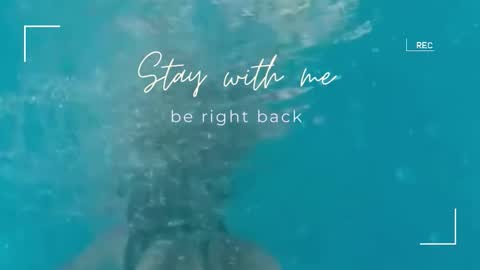 Lily online show from September 23, 2025, 7:00 am