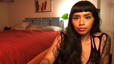 Snapshot of lily_henry chatting on November 5, 2025, 5:29 am Little Lily online show from November 5, 2025, 5:29 am