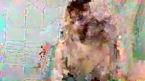 lily online show from June 8, 2026, 7:03 pm