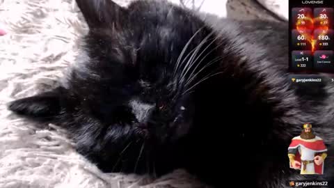 Lena online show from April 24, 2026, 4:15 am