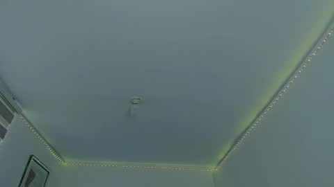   online show from February 12, 2025, 6:40 pm