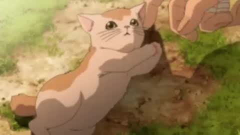 Luna online show from November 4, 2025, 11:42 am