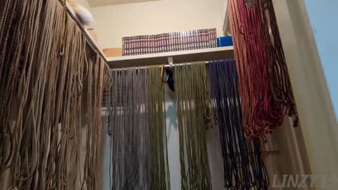 Linzy19 online show from February 7, 2025, 3:01 am