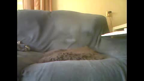 lion160868 online show from October 26, 2025, 10:32 am