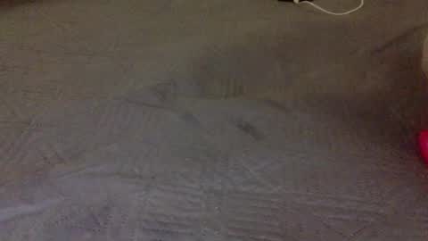 lipinhofortal853516 online show from November 10, 2025, 12:31 am