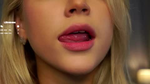 Snapshot of lipswithsmileonthem chatting on February 27, 2025, 1:05 am Amelia online show from February 27, 2025, 1:05 am