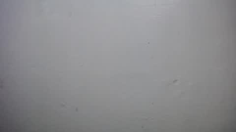 lisa_branch online show from October 18, 2025, 10:16 am