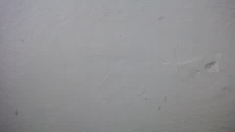 lisa_branch online show from December 20, 2025, 11:17 am