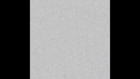 Snapshot of little_pearl_ chatting on February 17, 2025, 5:25 am Adaline online show from February 17, 2025, 5:25 am