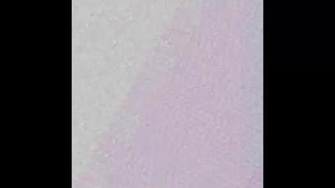 Snapshot of little_pearl_ chatting on February 27, 2025, 7:44 am Adaline online show from February 27, 2025, 7:44 am