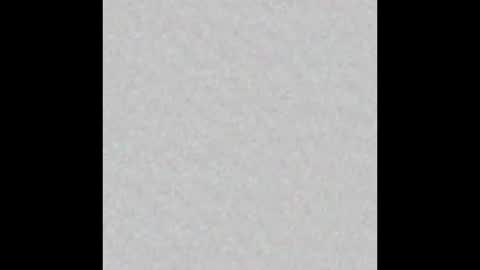 Adaline online show from February 9, 2026, 5:33 am