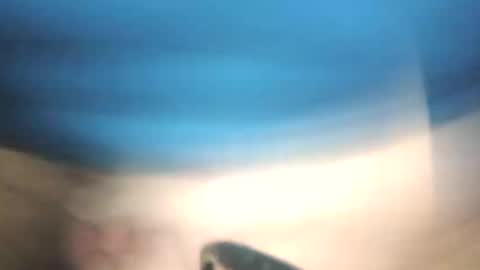 littlestick online show from January 12, 2026, 8:41 am