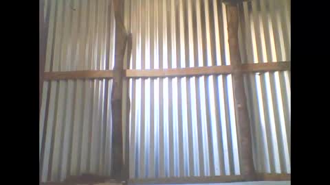 yanah online show from November 5, 2025, 5:40 am