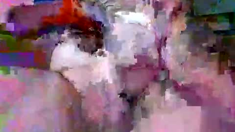 litwinpaweel online show from April 14, 2026, 7:42 pm