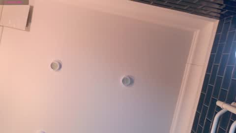 Snapshot of liv_fay chatting on December 21, 2024, 2:37 pm Liv 3 online show from December 21, 2024, 2:37 pm