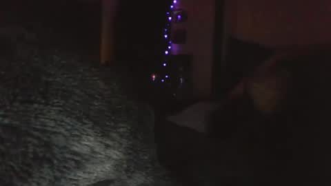 Liv Mirage online show from April 14, 2026, 2:12 pm